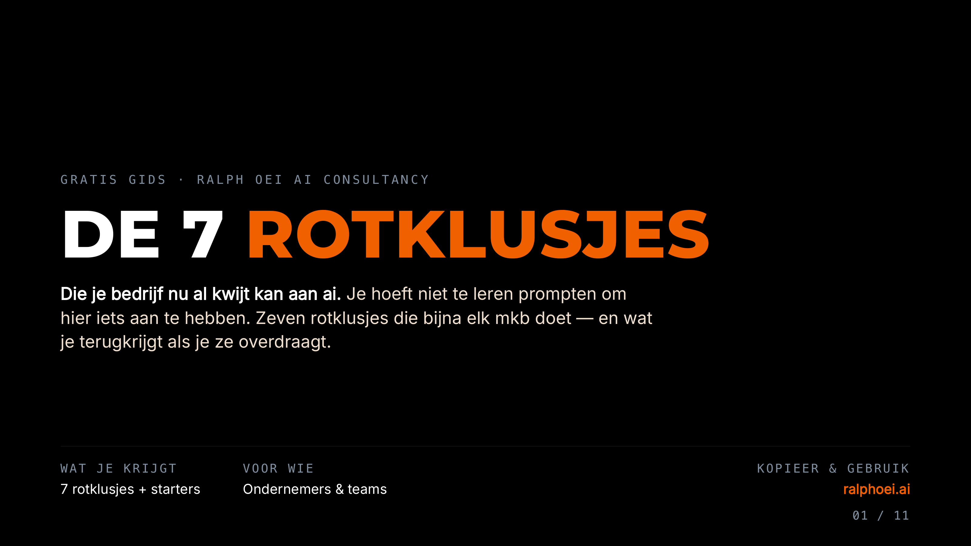 De 7 Rotklusjes gids